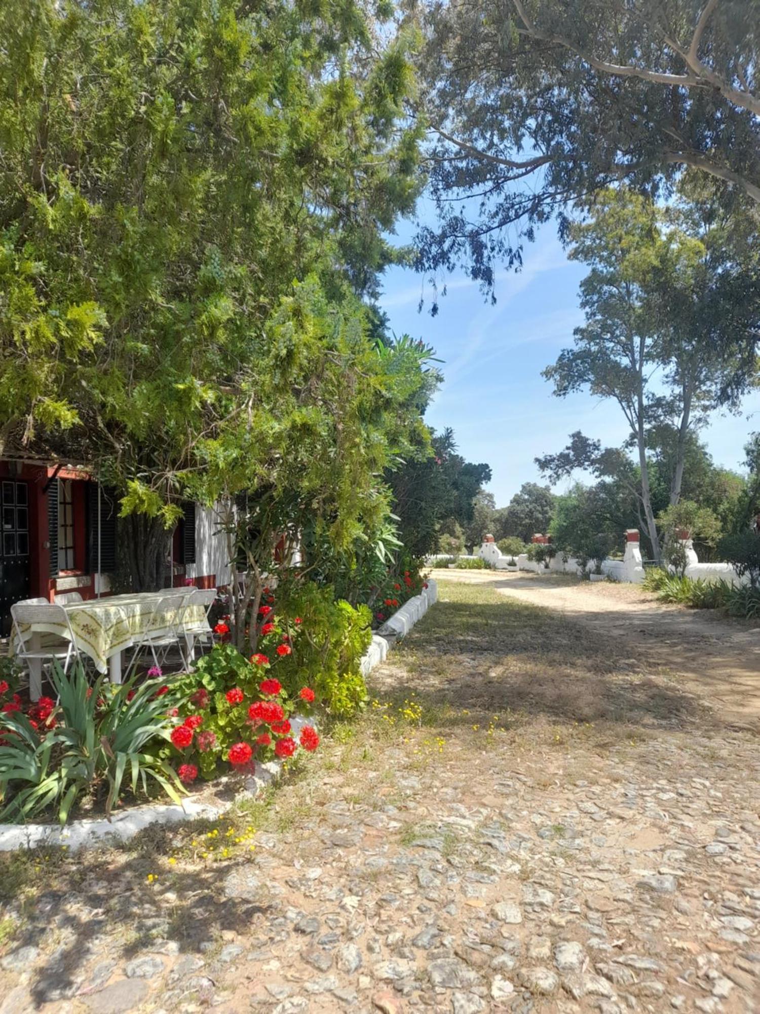 Hotel Rural El Vaqueril Navas Del Madrono Exterior photo