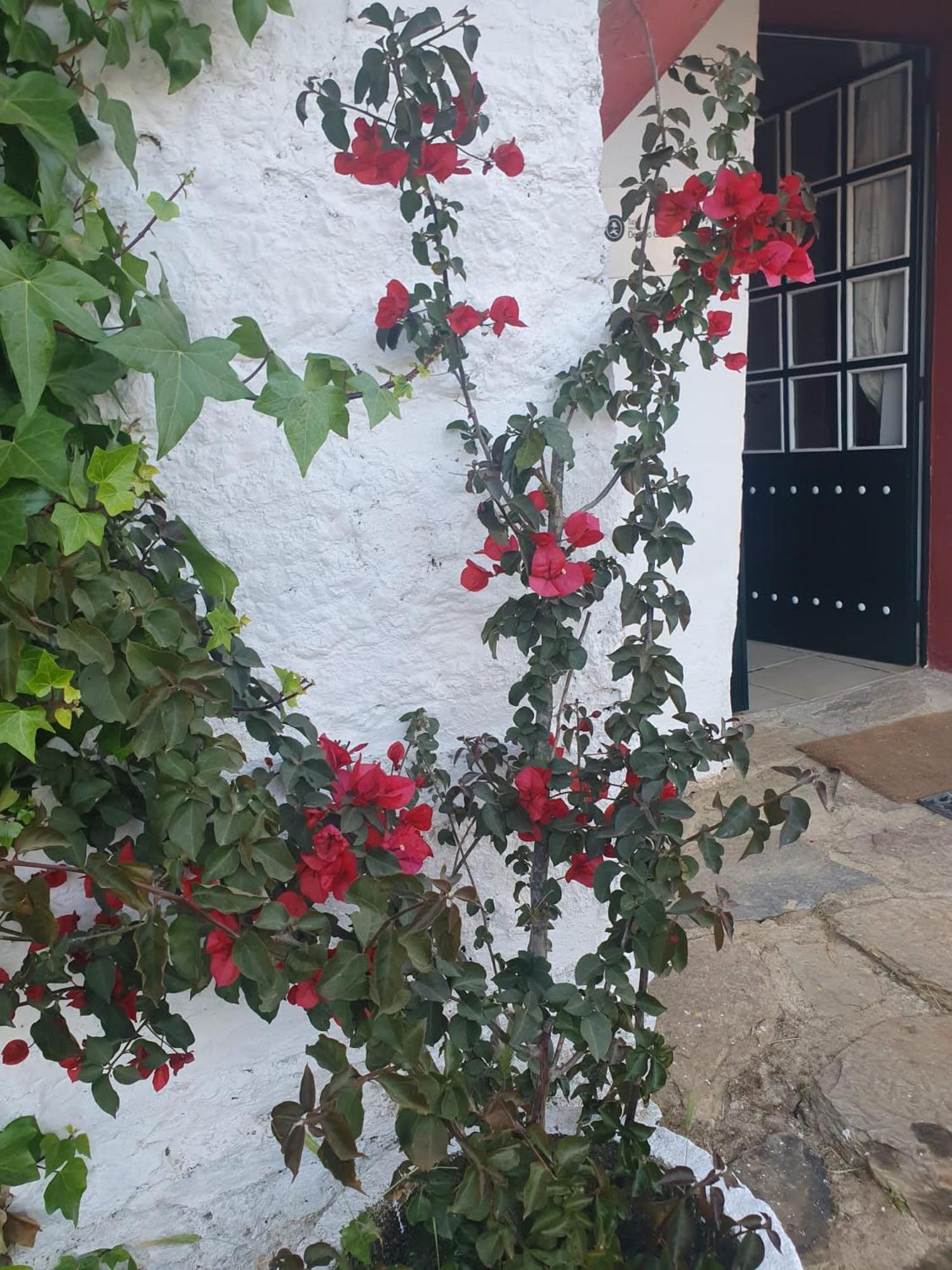 Hotel Rural El Vaqueril Navas Del Madrono Exterior photo